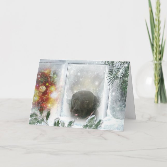 Madison, o cartão de Natal Black Labrador (Frente)