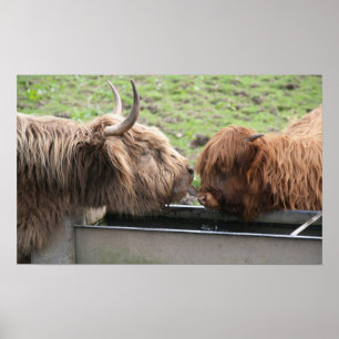 Mãe Amor Poster Impressão