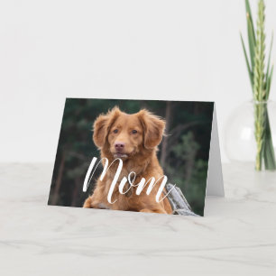 Mãe de Cachorro Divertido Feliz Aniversário Cartão