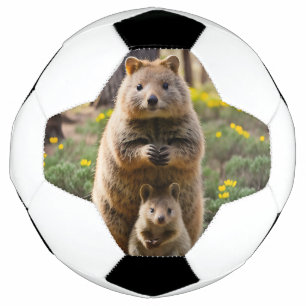 Mãe E Bebê Quokka, Bola De Futebol