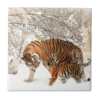 Mãe e bebê Tiger