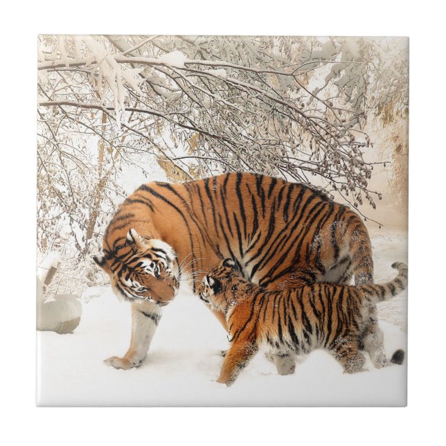 Mãe e bebê Tiger (Frente)