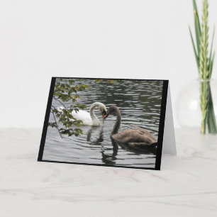 Mãe e Criança - Um Cartão de Saudação Swan