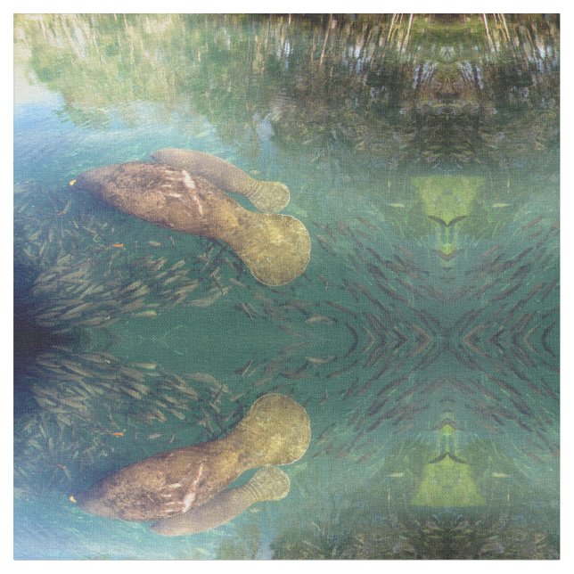 Mãe e Tecido de Baby Manatee (Detalhe)