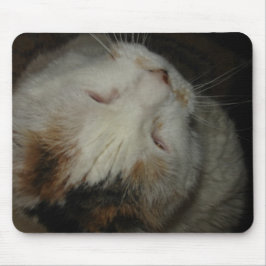 Mãe, estou dormindo!! mousepad de gato
