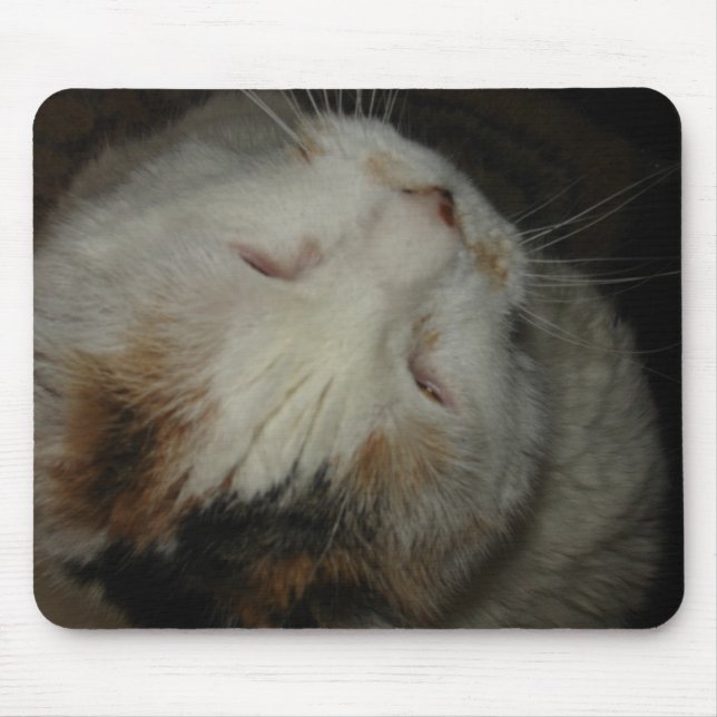 Mãe, estou dormindo!! mousepad de gato (Frente)