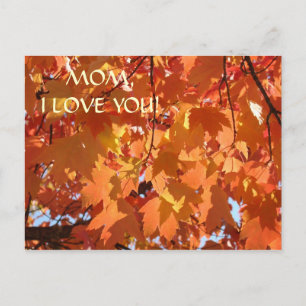 MÃE EU TE AMO! Cartão postal Folhas de Outono Cart