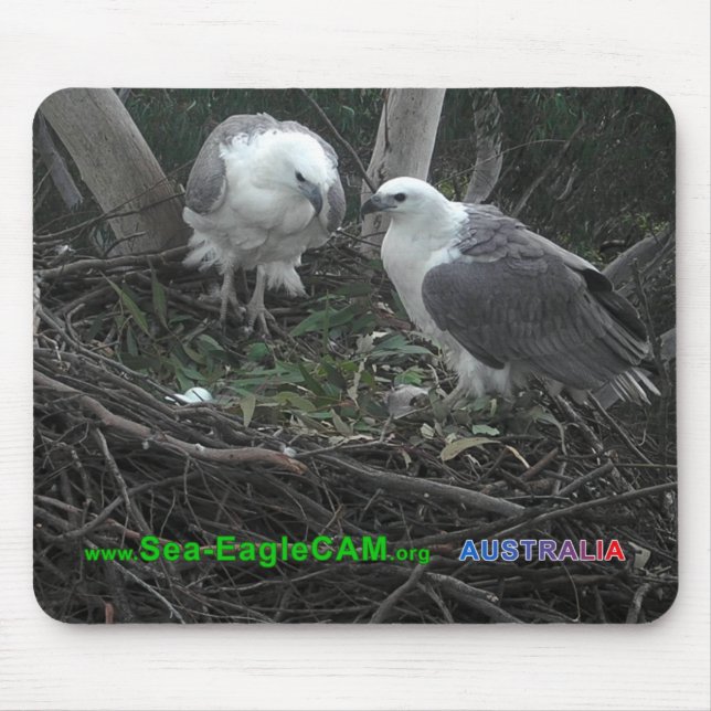 Mãe & pai que admiram os ovos Mousepad 02 (Frente)