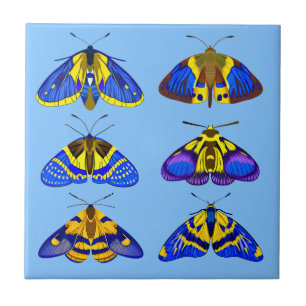 Mães em azul, Ouro Amarelo e castanho pequeno
