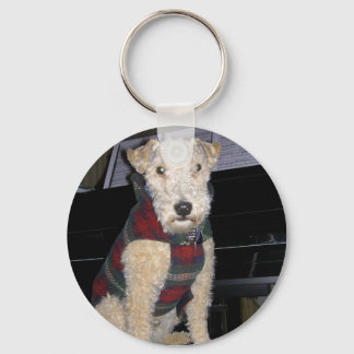 Maestro Groupie Chaveiro