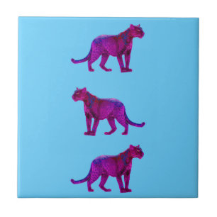 Magenta Panthers