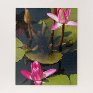 Magenta Waterlily Quebra-cabeça