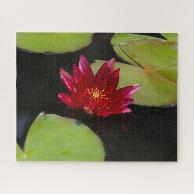 Magenta Waterlily Quebra-cabeça (Horizontal)