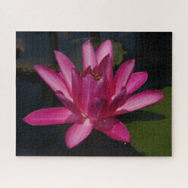 Magenta Waterlily Quebra-cabeça (Horizontal)