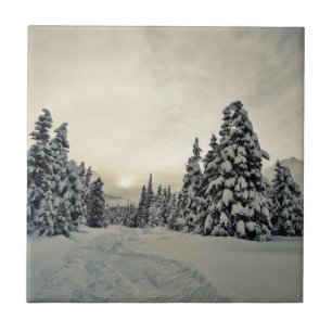 Magia de inverno