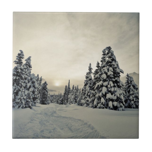 Magia de inverno (Frente)