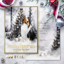 Magia de Natal, Saddleback Rough Collie & Lambs -