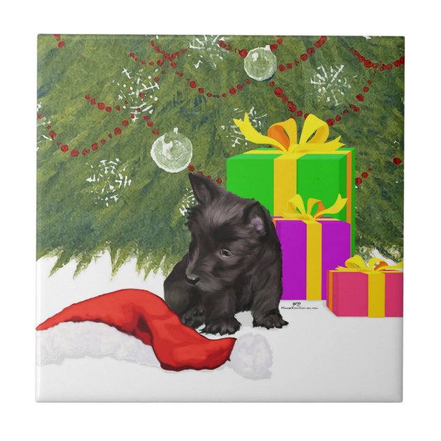 Magia do Natal (Frente)