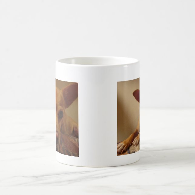 Mágica A caneca II de Bubba (Centro)