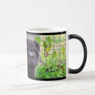 Mágica Caneca da dança