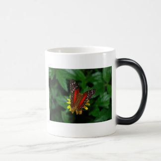 Mágica Caneca da temperatura da borboleta