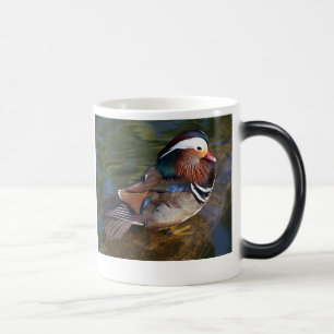 Mágica caneca de cerâmica mutante de pato mandarim