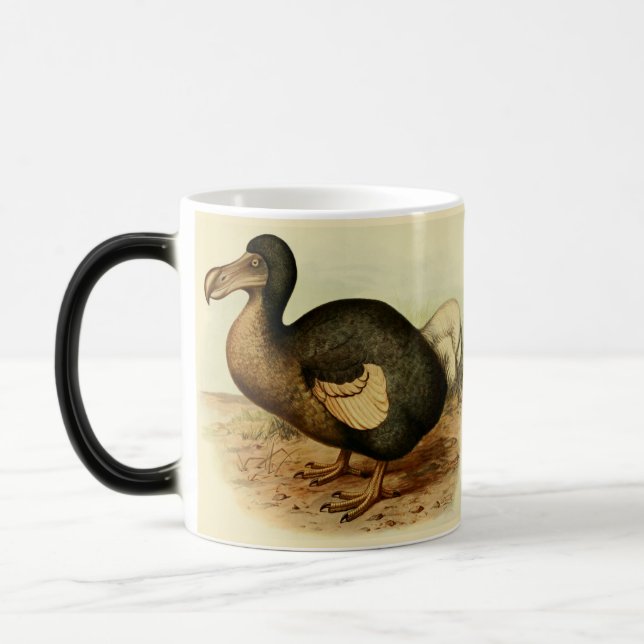 Mágica Caneca de desaparecimento do Dodo (Esquerda)