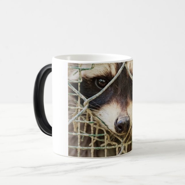 MÁGICA CANECA DE MORFING DE GUAXINIM (Frente Esquerda)