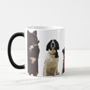 Mágica Caneca do animal de estimação do cão