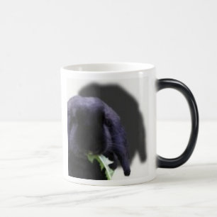 Mágica Caneca do coelho