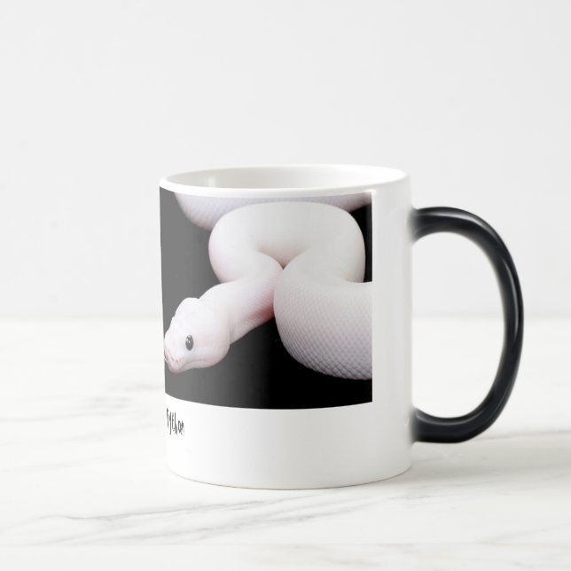 Mágica Caneca do pitão da bola de Leucistic (Direita)