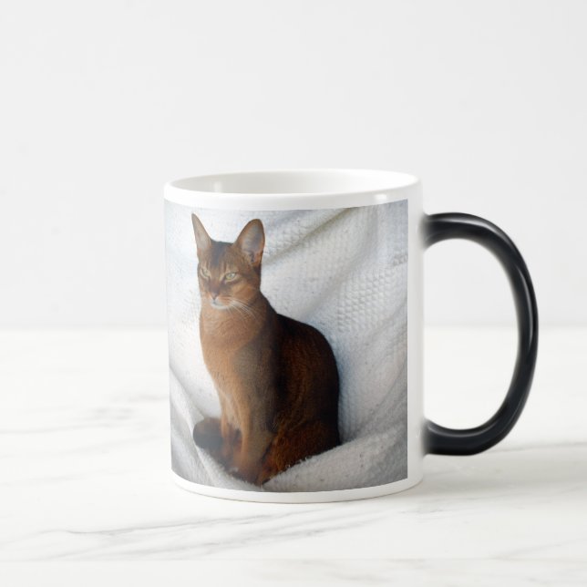 Mágica Caneca fêmea corado Abyssinian do gato (Direita)