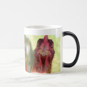 MÁGICA CANECA MORPHING DO PÁSSARO ENGRAÇADO