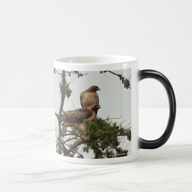 Mágica caneca Vermelho-empurrada dos falcões (Direita)