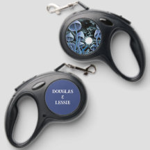 Mágica Cogumelos Lua Arrefecimento