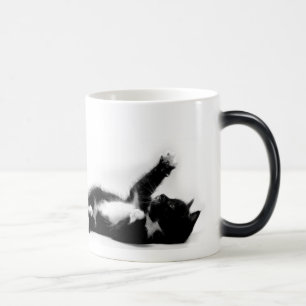 Mágica Gatinho preto e branco na caneca em mudança da co