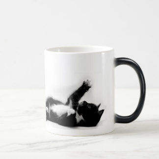 Mágica Gatinho preto e branco na caneca em mudança da cor