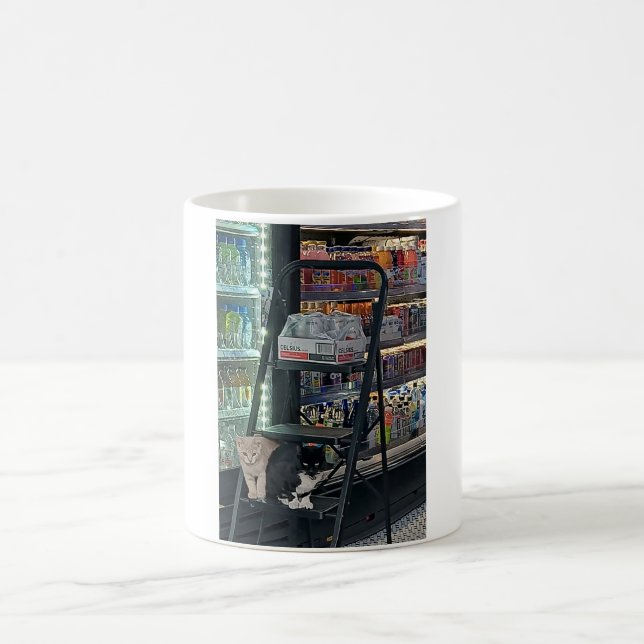 Mágica gatos de bodega ajudando a reabastecer caneca muta (Centro)
