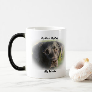 Mágica Meu Vira-Lata Minha Caneca Meus Amigos.