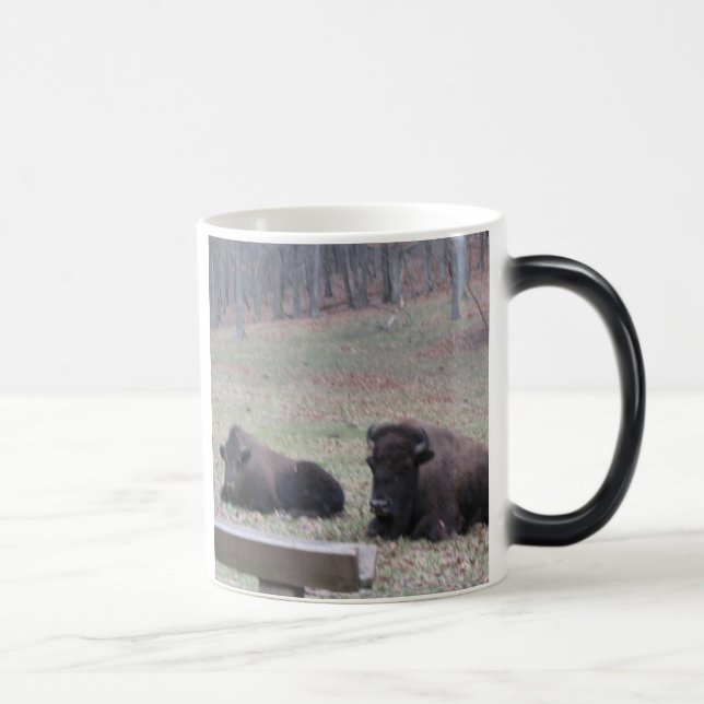 Mágica Quente ou frio? Caneca (Direita)