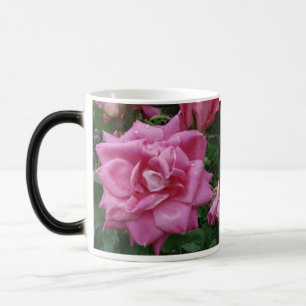 Mágica Rosas da caneca da amizade e do amor