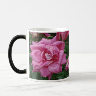 Mágica Rosas da caneca da amizade e do amor