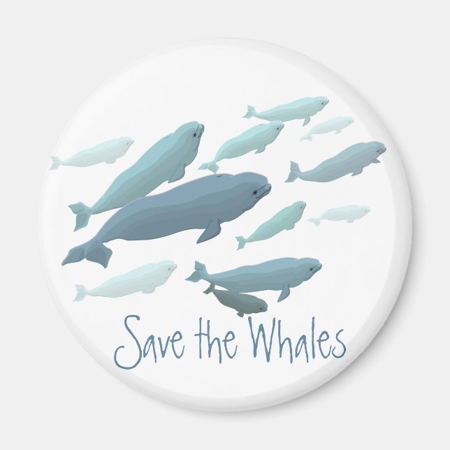 Magnet Da Baleia Beluga, Personalizada Pela Imã de (Frente)