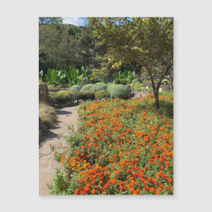 Magnet das Flores do Tea Garden