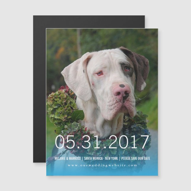 Magnético Convite Great Dane (Frente/Verso)