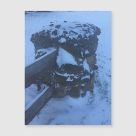 Magneto de Pilar de Neve