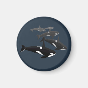 Magnetos de Arte de Baleia Assassina Imã de gelad