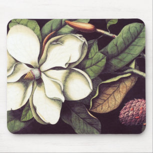 Magnólia branca Mousepad, Mousepads legal