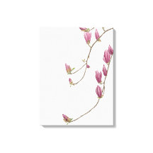 Magnolia Canvas