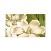 Magnolia Cartão de visita